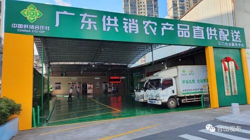 奮戰(zhàn)百千萬(wàn)工程 廣東供銷農(nóng)產(chǎn)品直供配送臺(tái)山服務(wù)中心揭牌成立