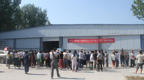 河南省“四優四化”科技支撐行動計劃食用菌專項平菇、雙孢蘑菇工廠化生產新技術觀摩交流會暨技術轉讓會成功召開